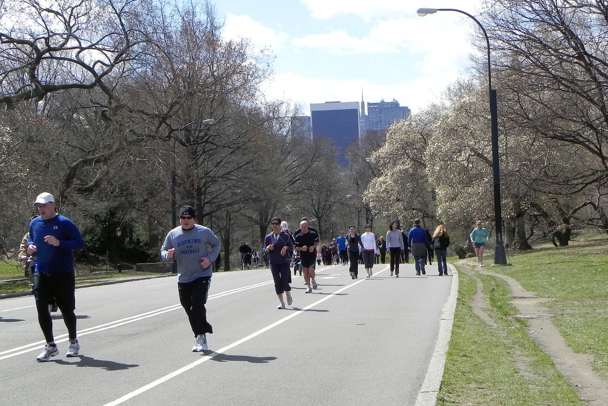 32 Central Park Is Perfect For Running or Strolling In Spring